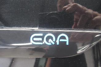 Mercedes EQA 250 picture 16