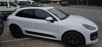 Porsche Macan GTS picture 13