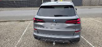 BMW X5 50e picture 10