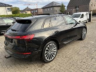 Audi E-tron AUDI e-tron 55 quattro 2020 picture 11