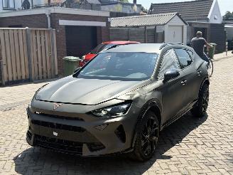 Damaged car Cupra Formentor 1.5 eTsi Facelift new model 2024 origineel kleur !!! 2024/1
