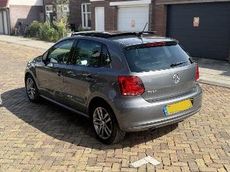Volkswagen Polo 1.6 TDI PANO DSG picture 11