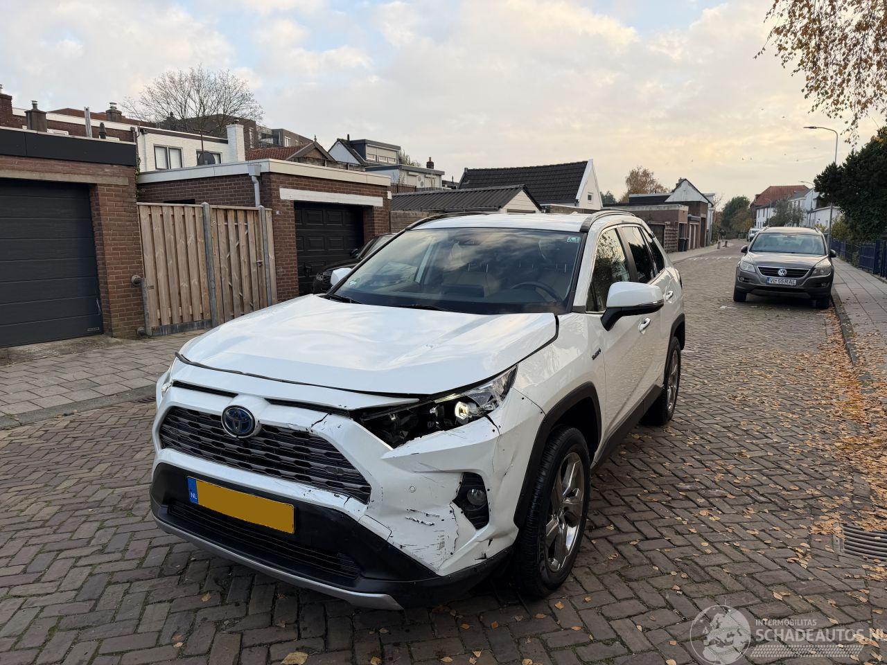 Toyota Rav-4 2.5 Hybrid AWD Executive NAP
