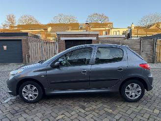 Peugeot 206+ 1.4 XS NAP!! picture 13