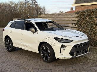 Damaged car Cupra Terramar VZ 1.5 eTSI 110kw 2025/1