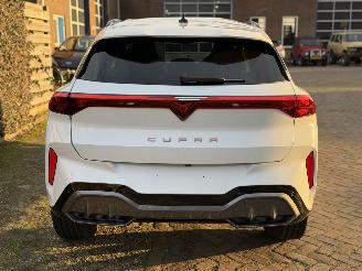Cupra Terramar VZ 1.5 eTSI 110kw picture 11