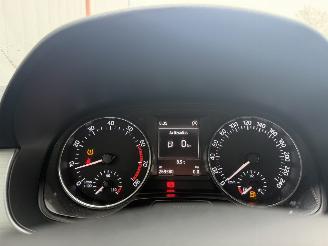 Skoda Fabia 1.2 TSI JOY picture 16