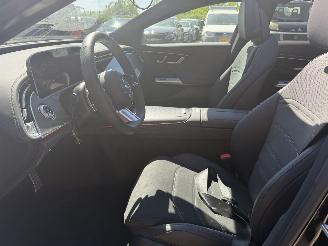Mercedes E-klasse E220d LIMO AMG PANO picture 20