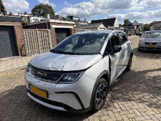 Vaurioauto  passenger cars BYD Dolphin Comfort 60.4 kWh NAP 2024/1