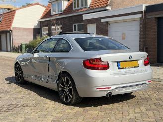 BMW 2-serie 220i Coupe Automaat picture 13