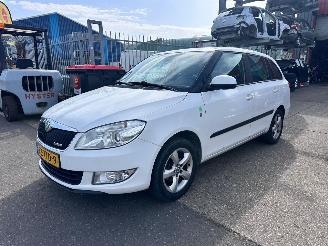 uszkodzony samochody osobowe Skoda Fabia 1.2 TDI GREENLINE 2012/8
