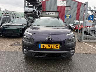 Citroën C4 cactus 1.2 SHINE picture 3