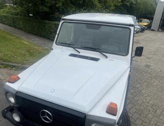 Mercedes G-klasse 290 GD LANG GRIJSKENTEKEN picture 7