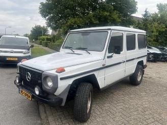 Mercedes G-klasse 290 GD LANG GRIJSKENTEKEN picture 1
