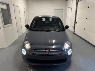 Fiat 500  picture 2