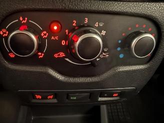 Dacia Dokker  picture 12