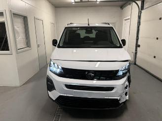 Peugeot Rifter  picture 2