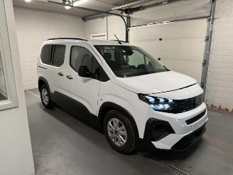 Peugeot Rifter  picture 1