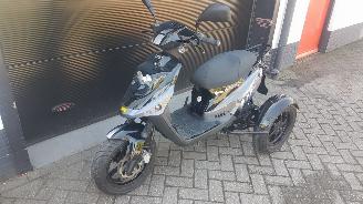 krockskadad bil auto PGO  PGO driewielscooter 2012/1