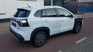 Suzuki S-Cross 1.4 BOOSTERJET HYBRID picture 9