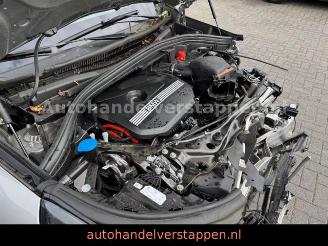 BMW X1 25 E xDrive Sport Plug in Hybrit 180KW picture 15