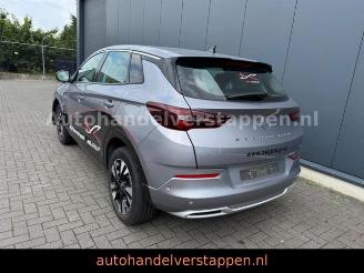 Auto incidentate Opel Grandland X PHEV 165KW Hybrit 2023/11