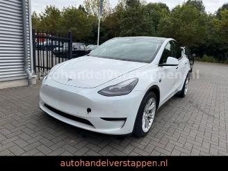 skadebil auto Tesla Model Y Long Range Dual AWD Pano Leder 2022/8