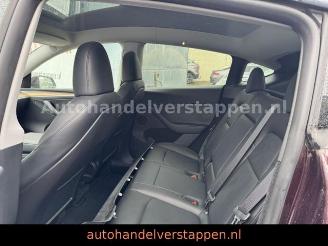 Tesla Model Y Long Range Dual AWD Panorama picture 15