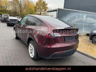 Tesla Model Y Long Range Dual AWD Panorama picture 3