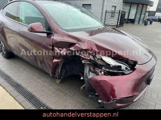 Tesla Model Y Long Range Dual AWD Panorama picture 7