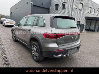 Avarii autoturisme Mercedes EQB 250+ 140KW Business Solution 2024/6