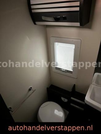 Roller Team   picture 35