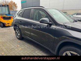 BMW X1 25e xDrive Sport 180KW PLUG IN picture 4