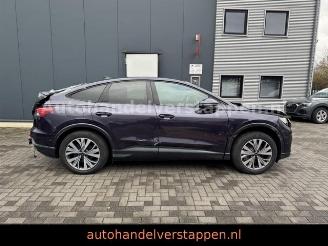 Audi Q4 e-tron 45 e-tron 195KW Quattro ADVANCED picture 8