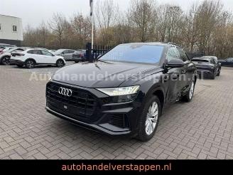 Audi Q8 50 TDI Quattro 210KW Panorama Matrix picture 12