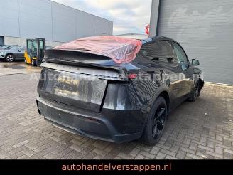 Tesla Model Y FACELIFT RWD CAM LEDER PANO 255KW picture 8