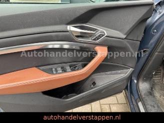Audi Q8 e-tron 55 Quattro S line Panorama picture 38