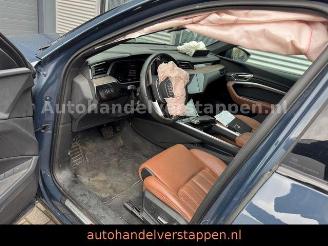 Audi Q8 e-tron 55 Quattro S line Panorama picture 15