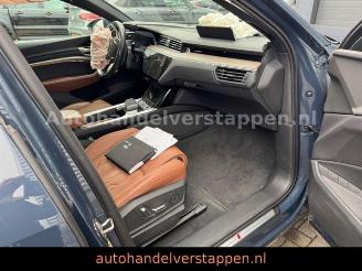 Audi Q8 e-tron 55 Quattro S line Panorama picture 46