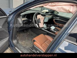 Audi Q8 e-tron 55 Quattro S line Panorama picture 30
