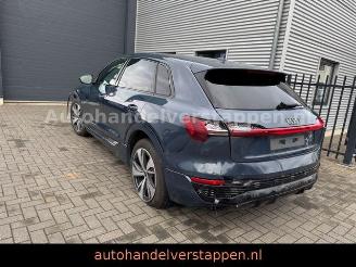 Audi Q8 e-tron 55 Quattro S line Panorama picture 12