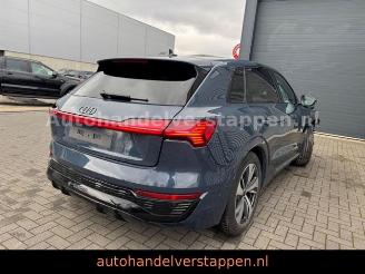 Audi Q8 e-tron 55 Quattro S line Panorama picture 4