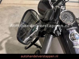 Harley-Davidson Road King Special - Krugger picture 15