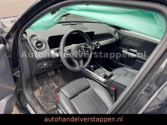 Mercedes EQB 250 Advanced 140KW Navi+ Leder 7Personen picture 10