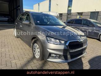 Auto incidentate Skoda Fabia Ambition TSI 110KW Graphite Grey 2024/3