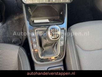 Skoda Fabia Ambition TSI 110KW Graphite Grey picture 35