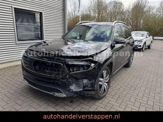 Mercedes EQB 300+ 4Matic 168KW Progressive Panorama FULL picture 9