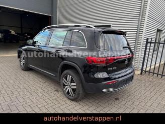 Mercedes EQB 300+ 4Matic 168KW Progressive Panorama FULL picture 6