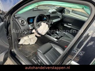 Mercedes EQB 300+ 4Matic 168KW Progressive Panorama FULL picture 27