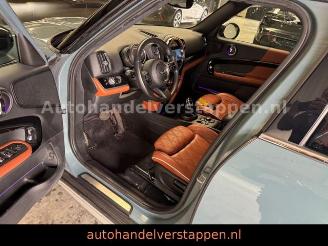 Mini Cooper Countryman Aut. Untamed Edition Pano picture 10